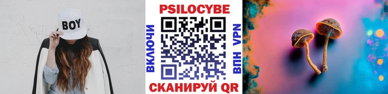 закладки  Новочеркасск  mega онион  Галлюциногенные грибы мицелий 