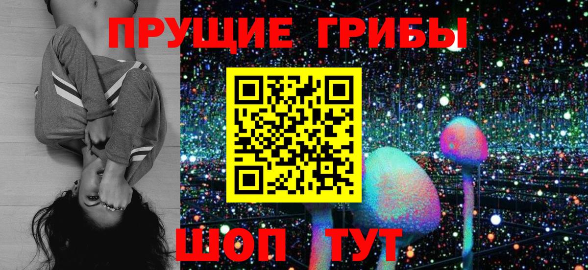 Псилоцибиновые грибы Psilocybine cubensis Новочеркасск
