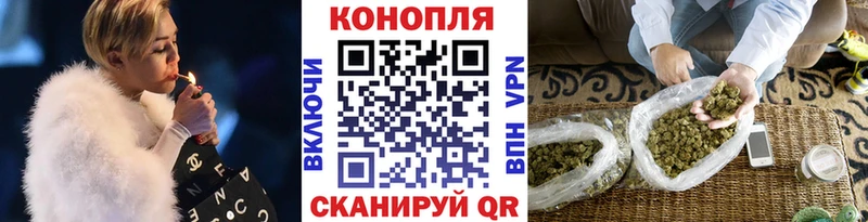 МАРИХУАНА семена  МЕГА как зайти  Новочеркасск  купить  цена 